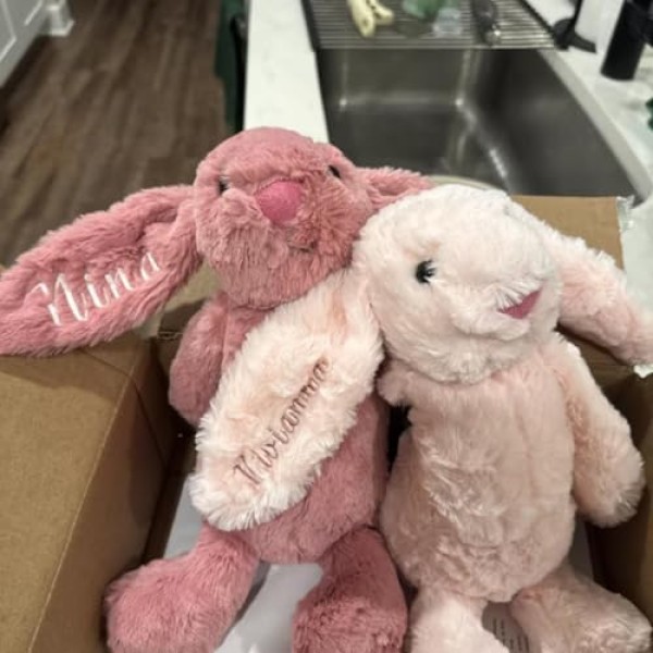 Hand-Embroidered Plush Bunny Gift - Image 5